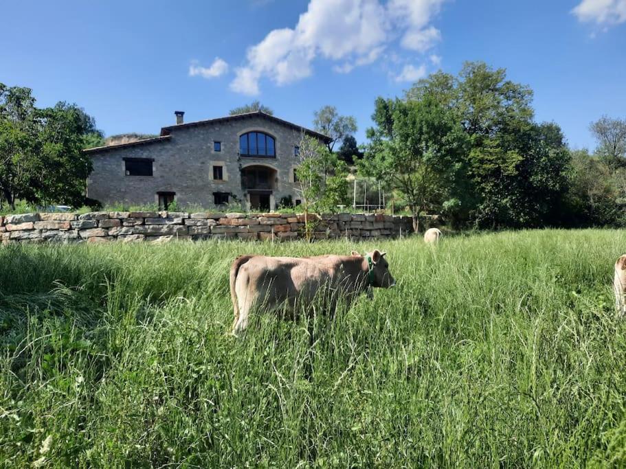 El Vespello Daire El Gurb Dış mekan fotoğraf