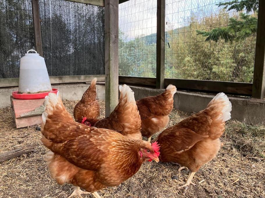 El Vespello Daire El Gurb Dış mekan fotoğraf